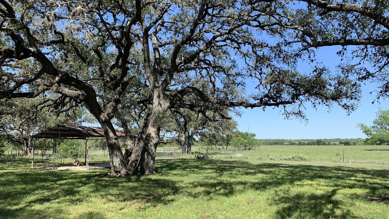 Photo of Others in Hondo