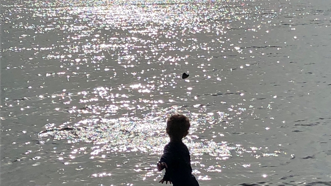 Photo of Others in Trenton