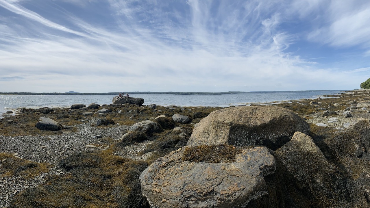 Photo of Others in Trenton