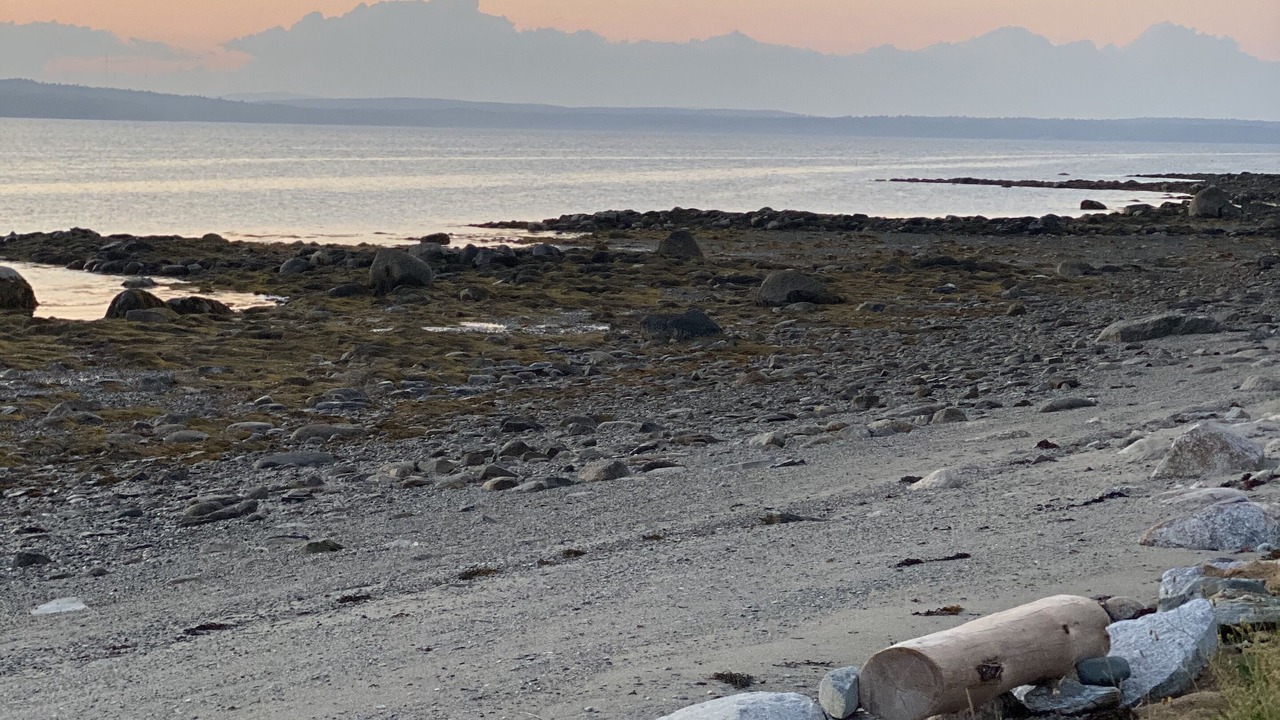 Photo of Others in Trenton