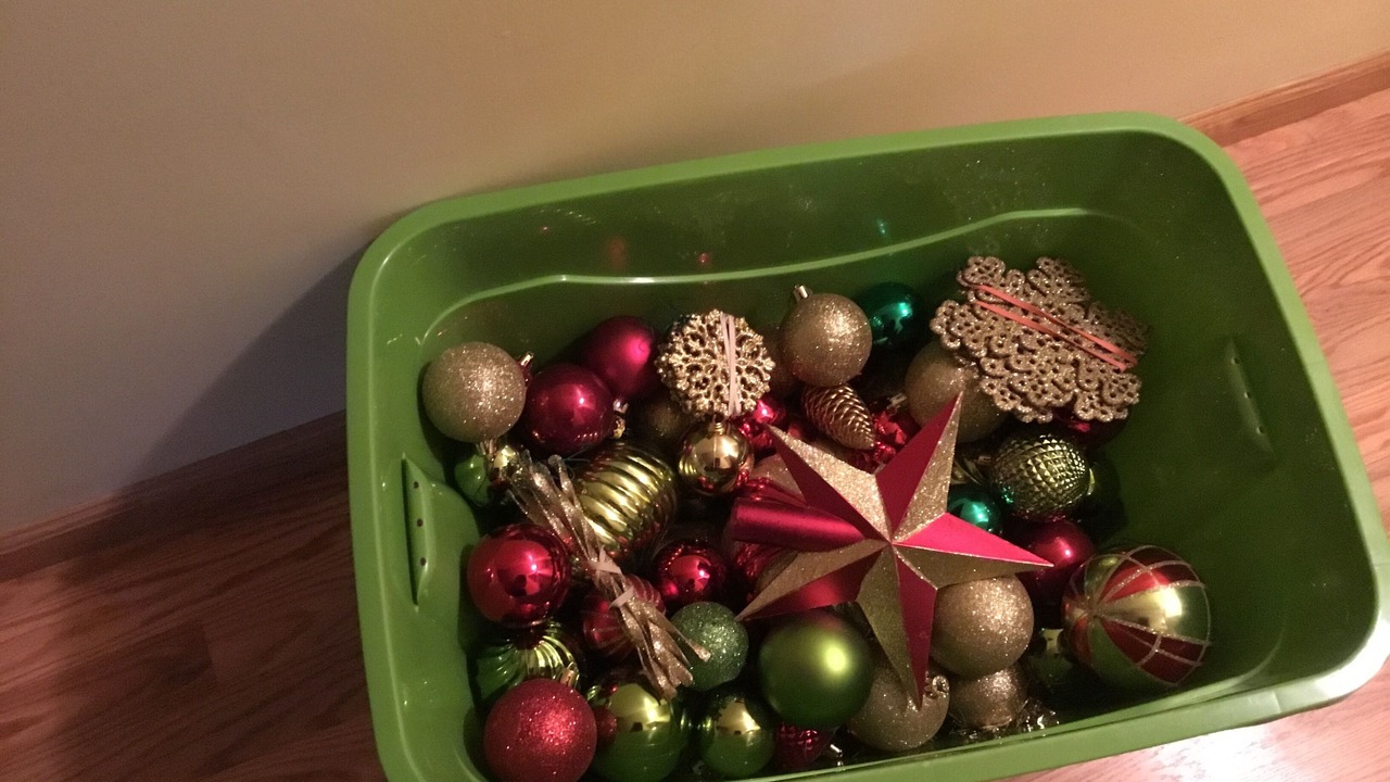 Photo of Others in Champlain