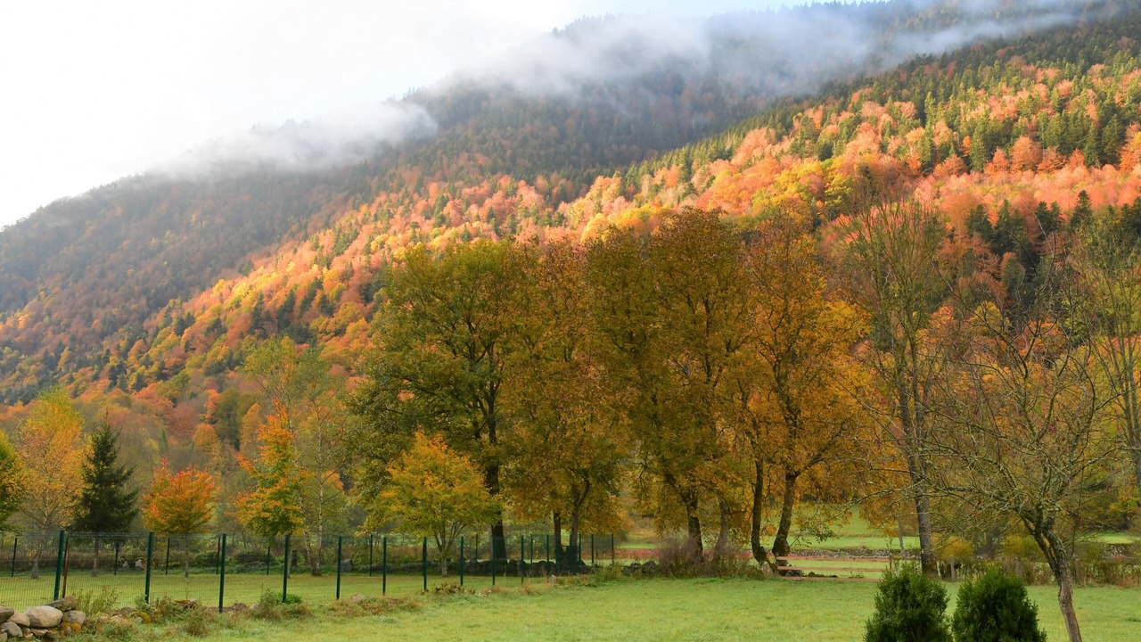 Photo of Outdoor in Borderes-Louron