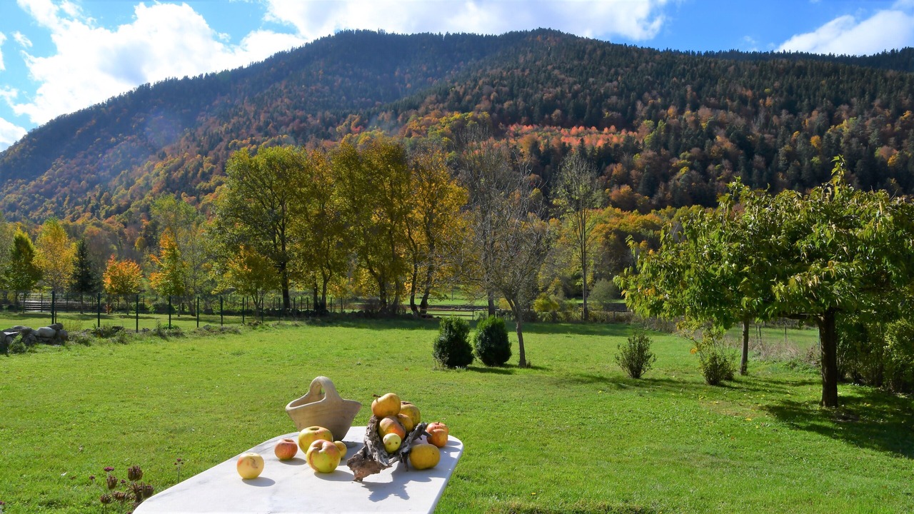 Photo of Outdoor in Borderes-Louron