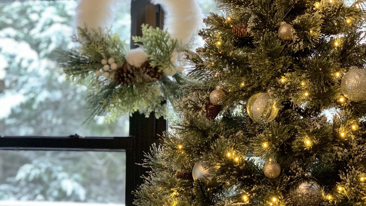 Photo of Others in Tannersville