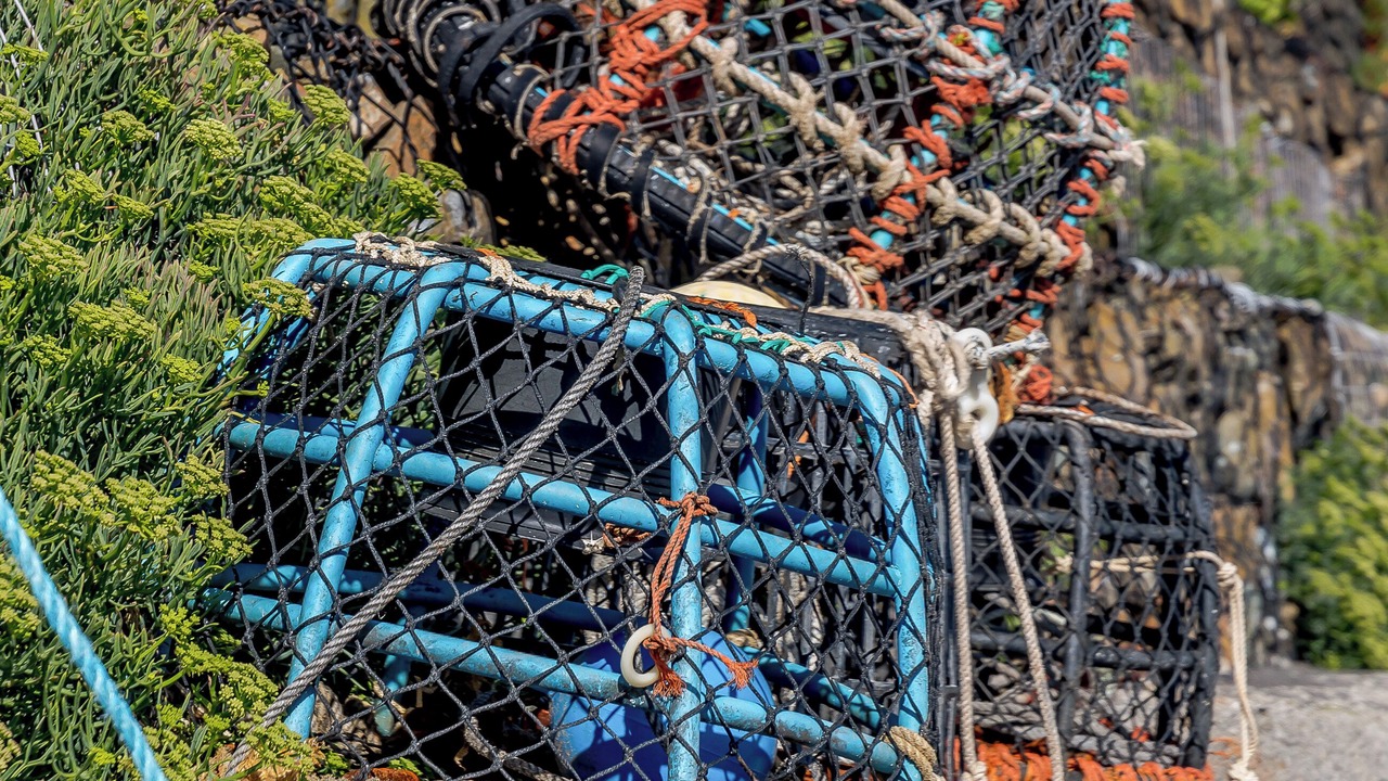 Photo of Others in Seaton