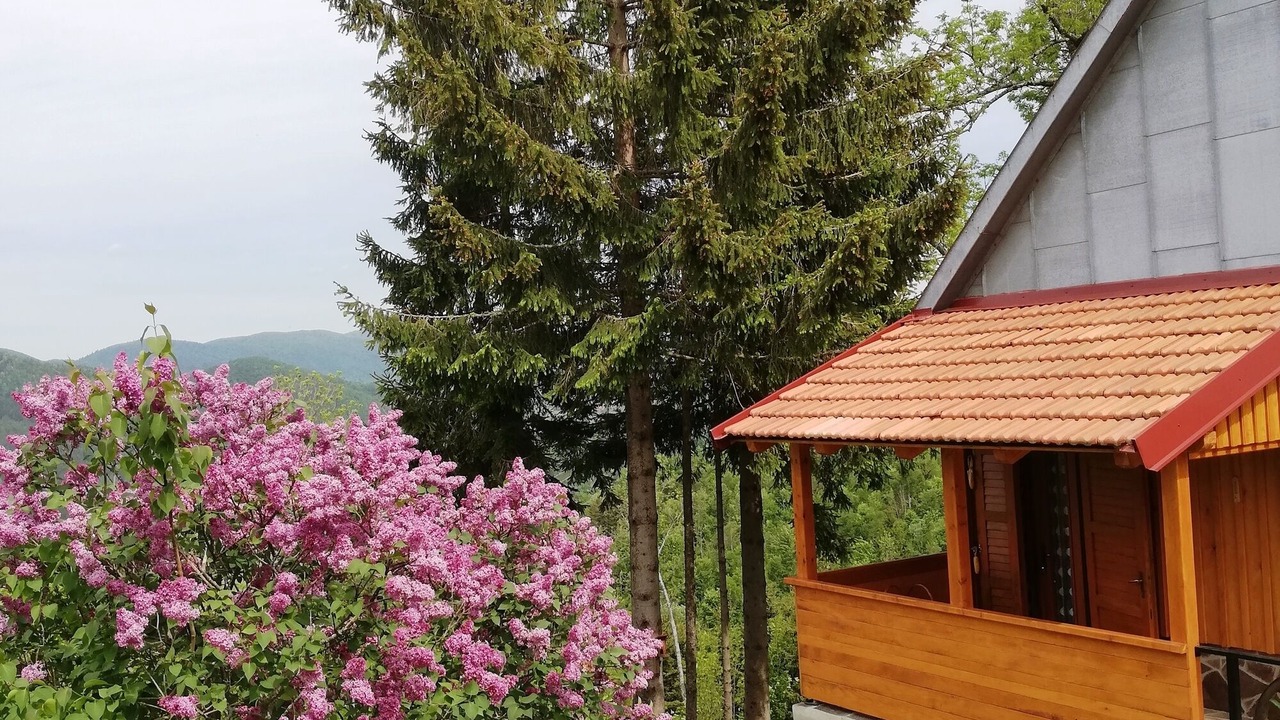 Photo of Outdoor in Brestova Draga