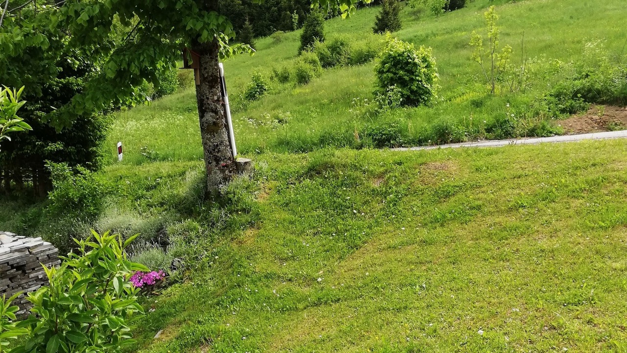 Photo of Outdoor in Brestova Draga