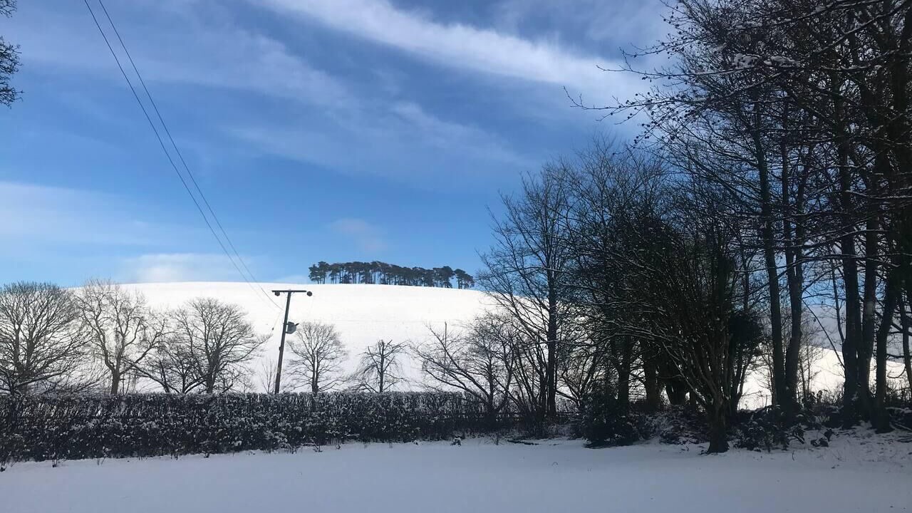 Photo of Others in Perth