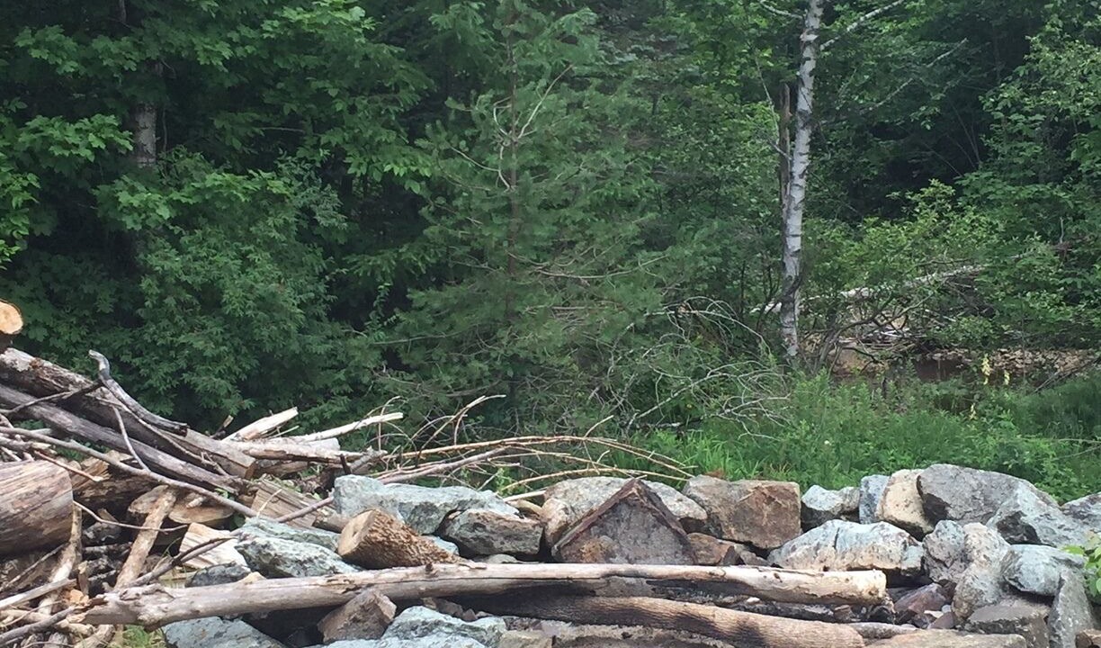 Photo of Outdoor in North Creek