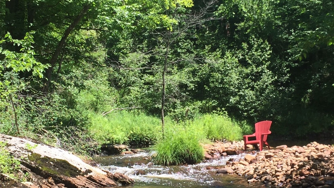 Photo of Outdoor in North Creek