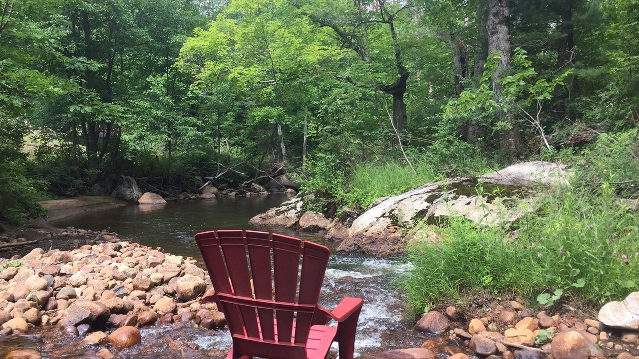 Photo of Others in North Creek