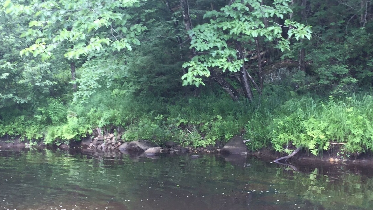 Photo of Outdoor in North Creek