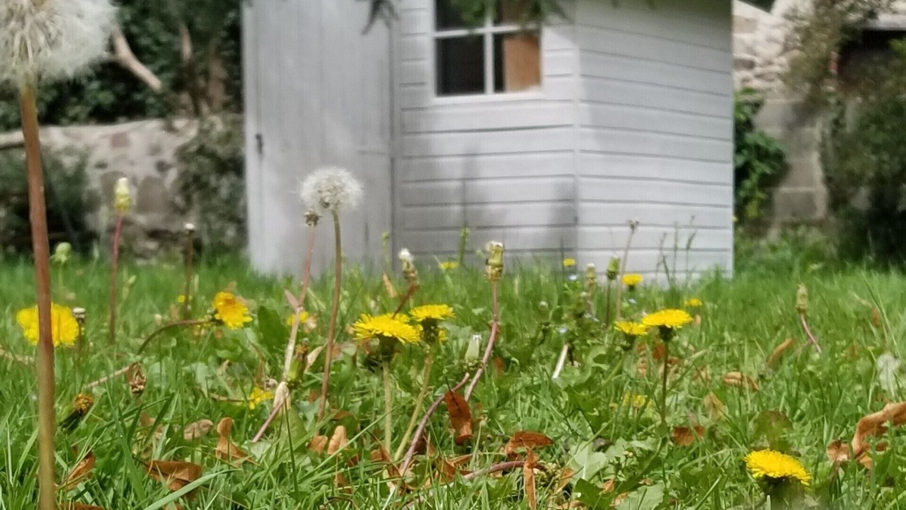 Photo of Outdoor in Treignat