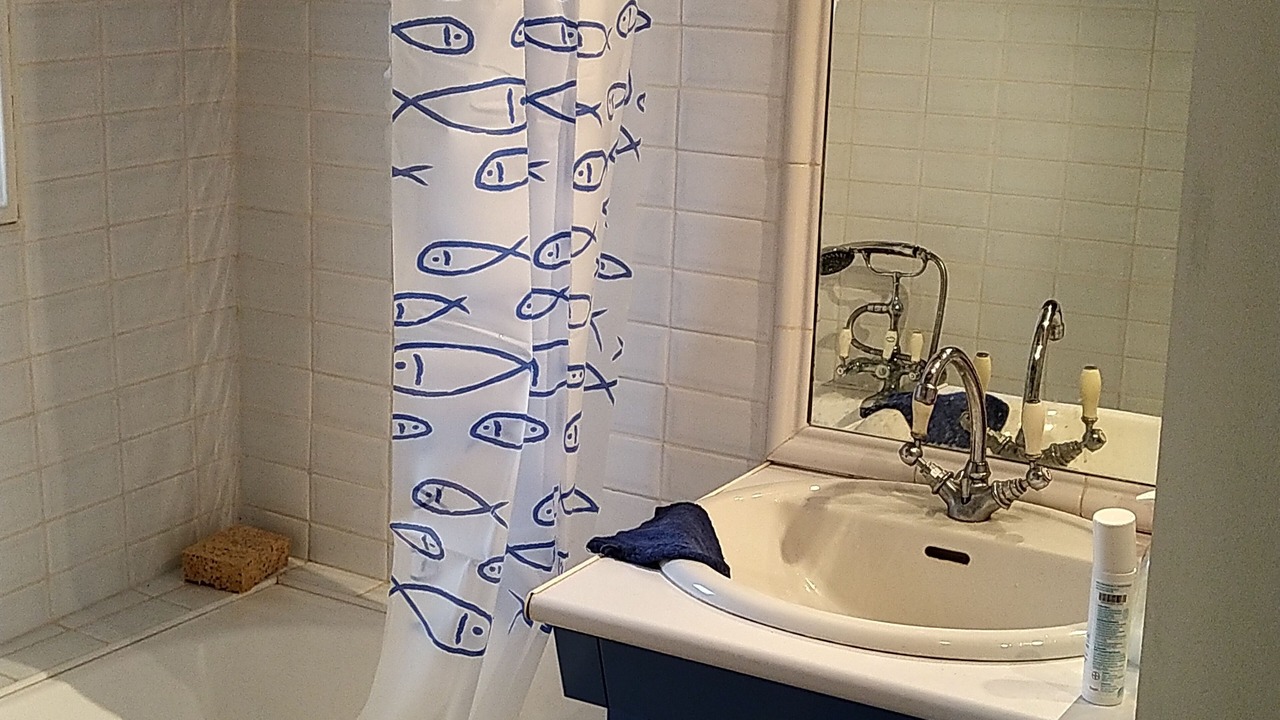 Photo of Bathroom in Chapelle-Royale