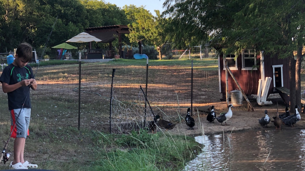 Photo of Others in Maypearl