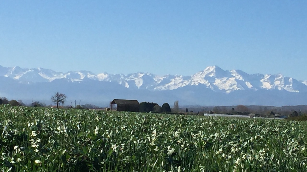 Photo of Others in Saint-Sever-de-Rustan