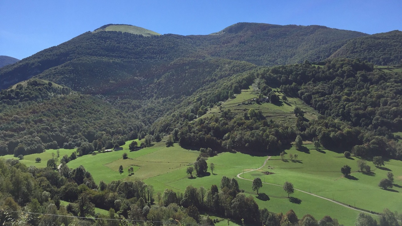 Photo of Others in Saint-Sever-de-Rustan