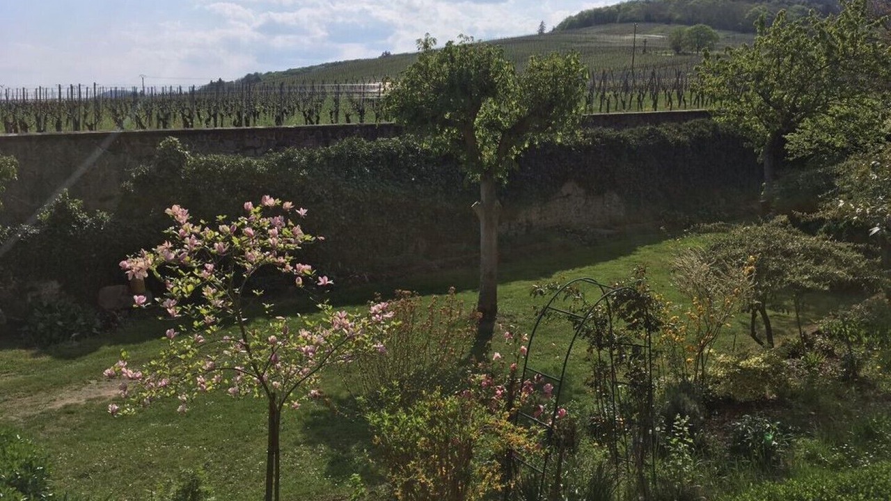 Photo of Outdoor in Dambach-la-Ville