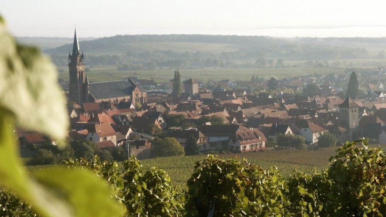 Photo of Others in Dambach-la-Ville