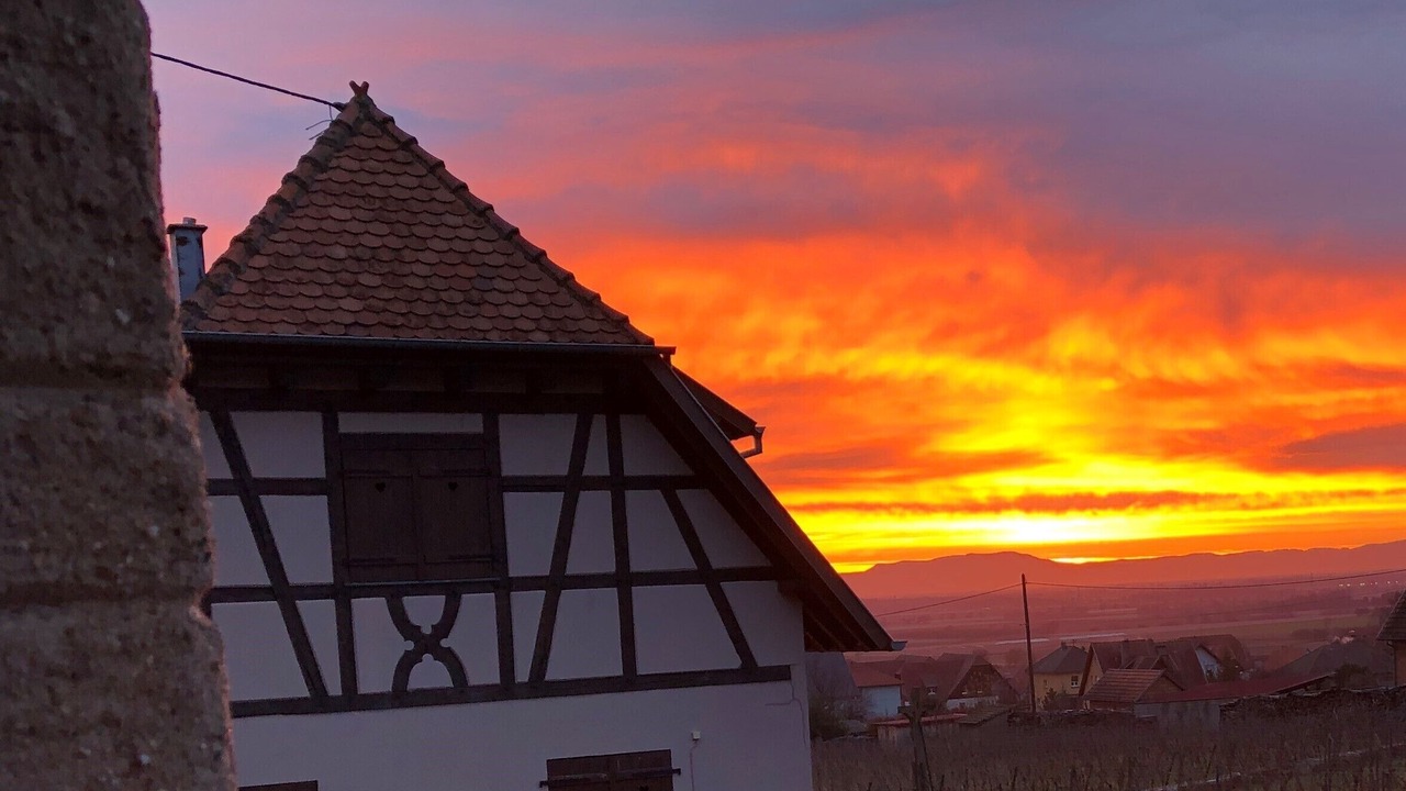 Photo of Others in Dambach-la-Ville