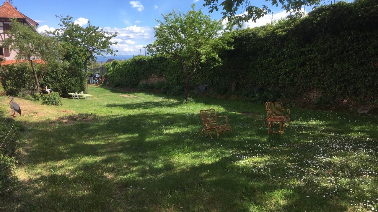 Photo of Outdoor in Dambach-la-Ville