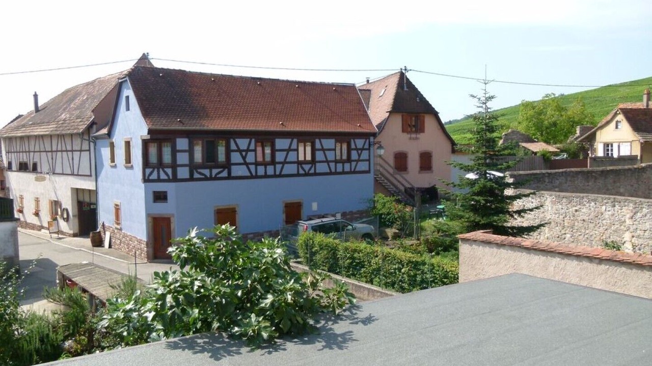 Photo of Outdoor in Dambach-la-Ville