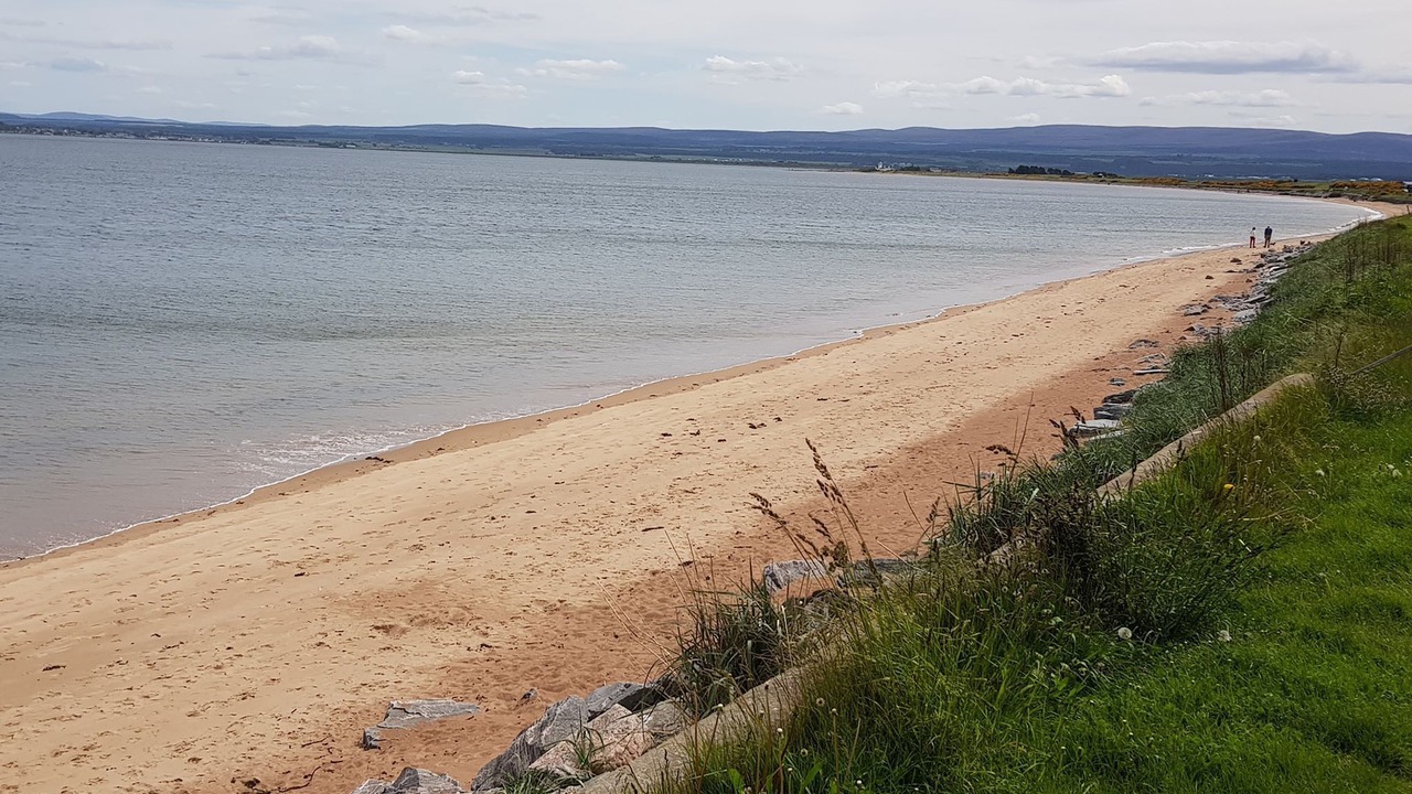 Photo of Others in Fortrose