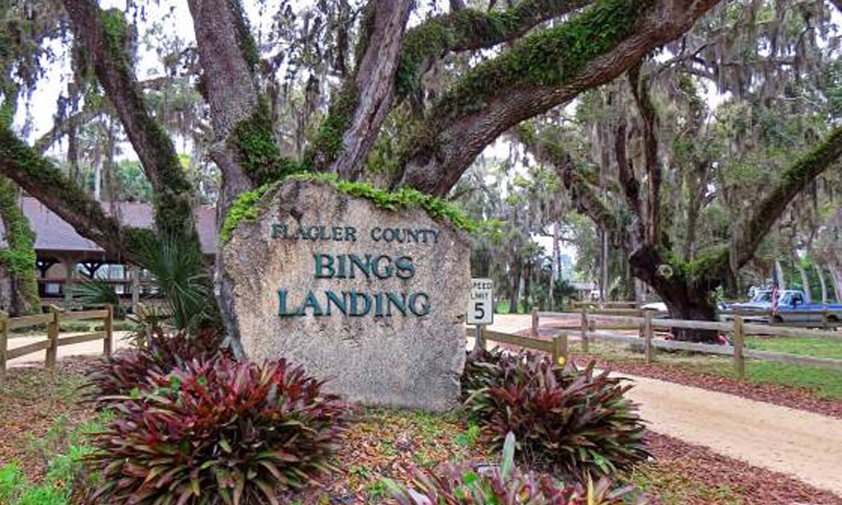 Photo of Others in Palm Coast