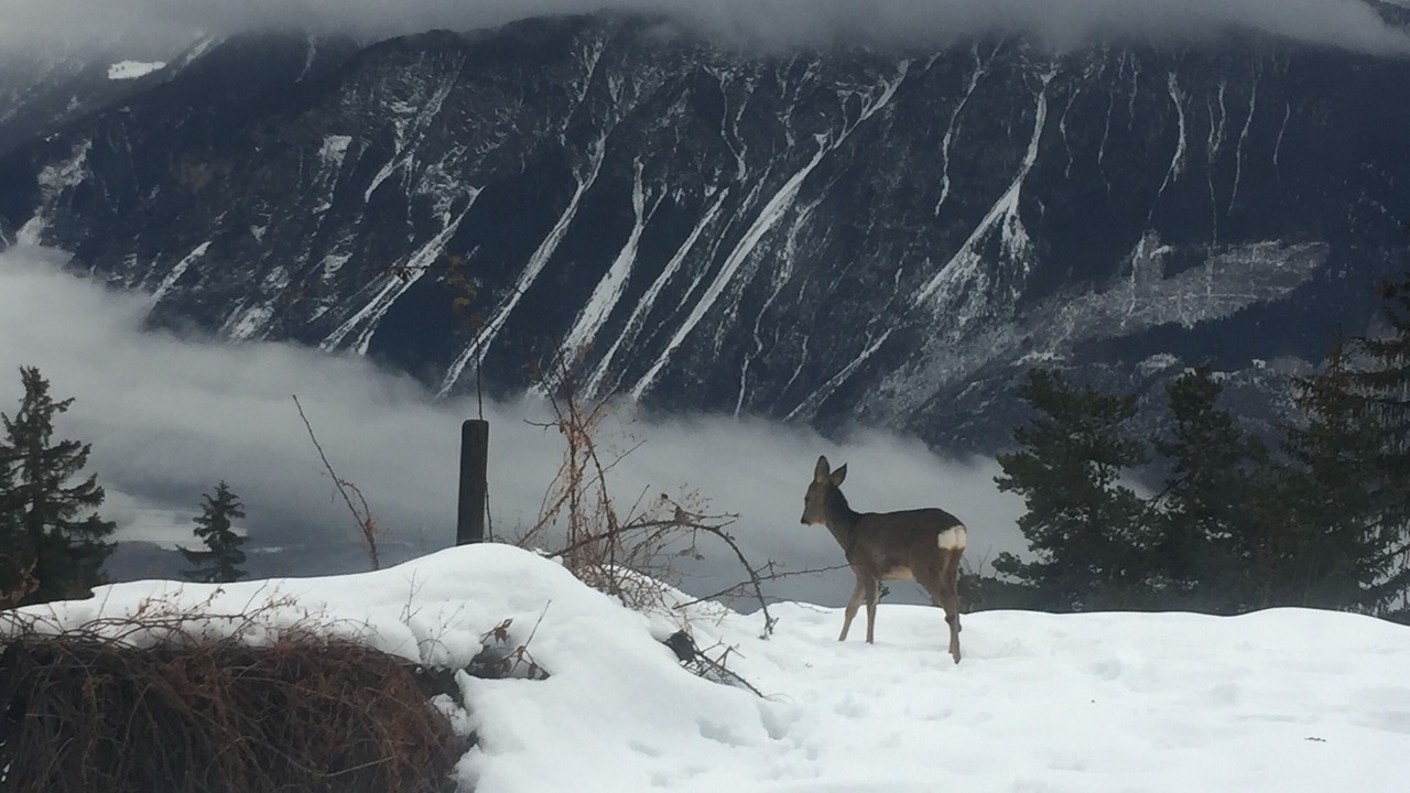 Photo of Others in Crans-Montana
