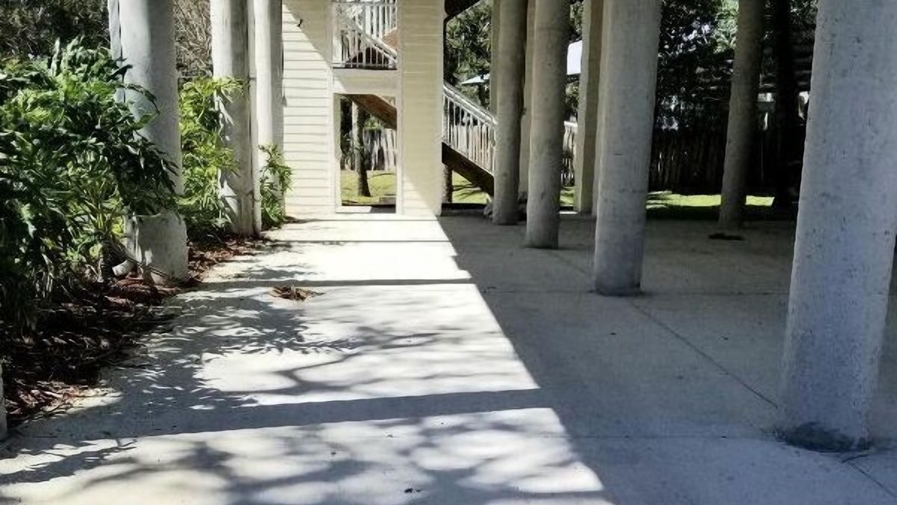 Photo of Outdoor in Chiefland