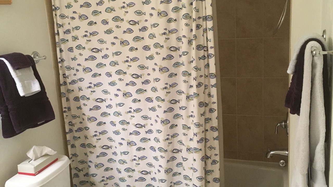 Photo of Bathroom in Chiefland