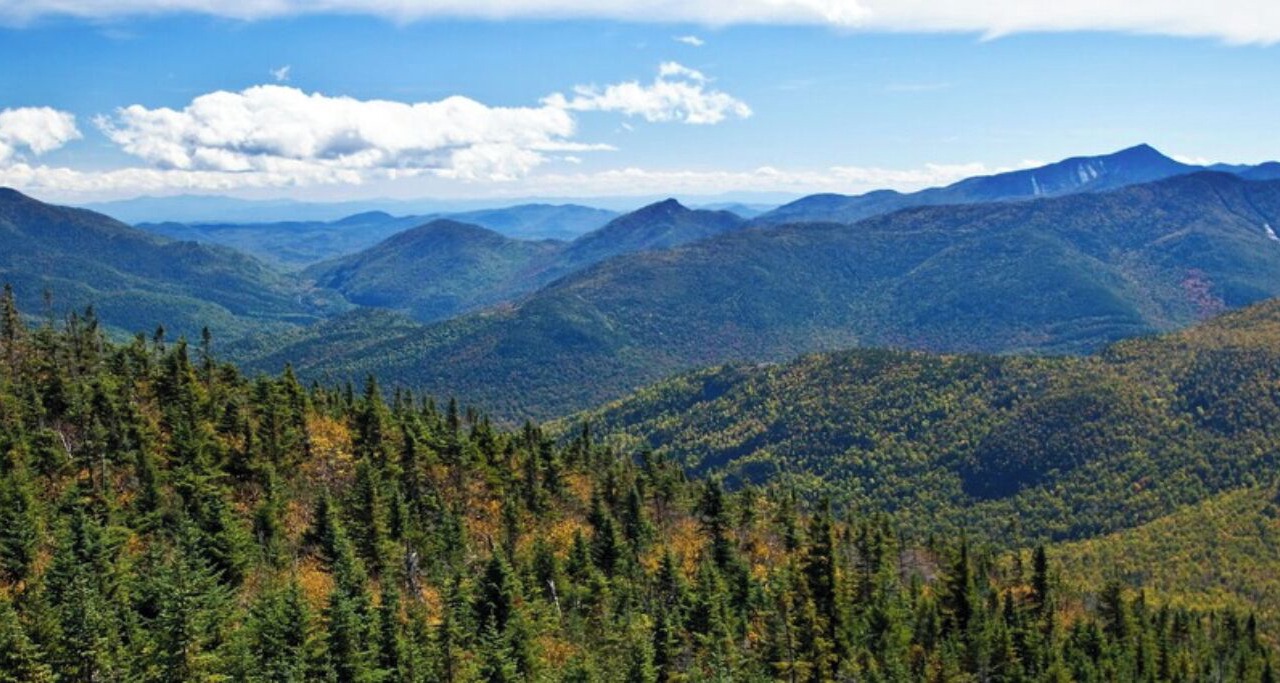 Photo of Others in Cold Brook