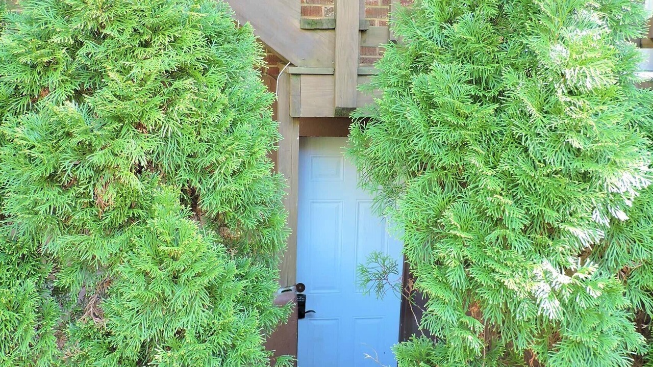 Photo of Outdoor in Bonnycastle