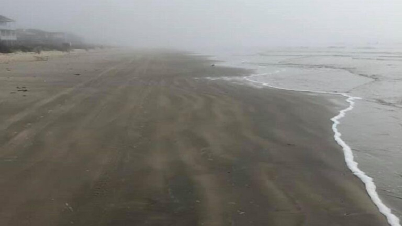 Photo of Others in Surfside Beach