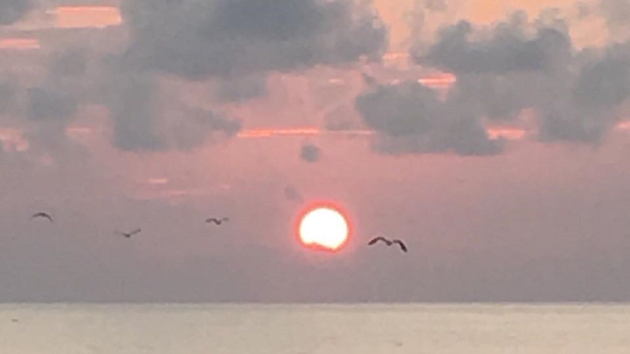 Photo of Others in Surfside Beach