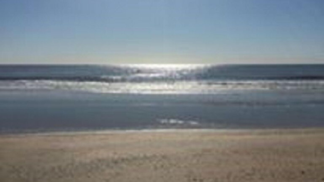 Photo of Others in Surfside Beach