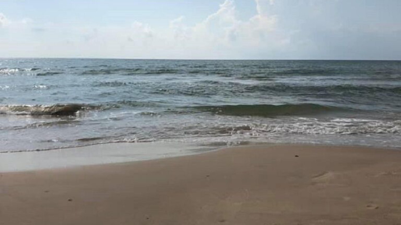Photo of Others in Surfside Beach