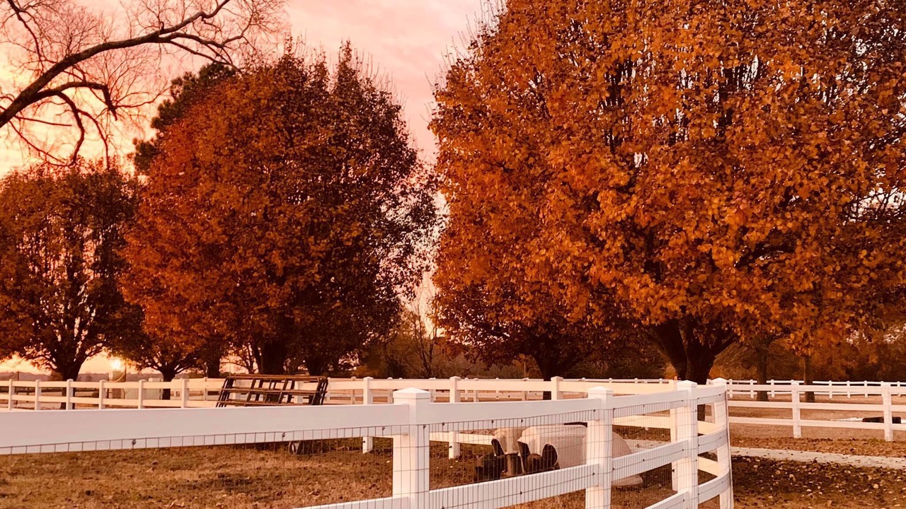 Photo of Outdoor in Parkton