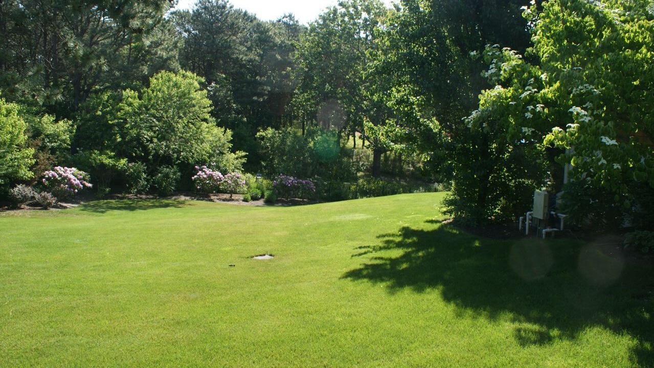 Photo of Others in Shinnecock Hills