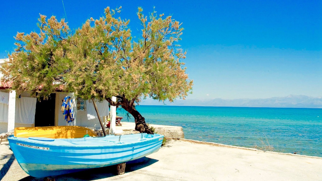 Photo of Others in Roda