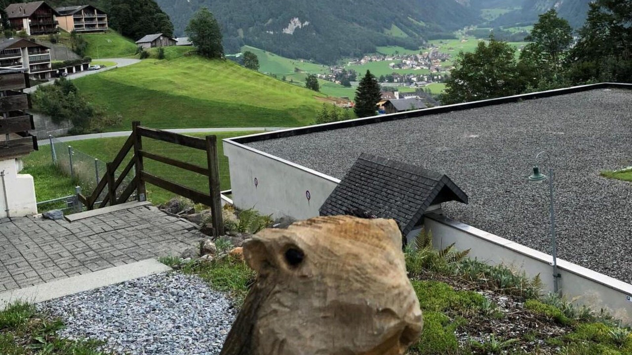 Photo of Others in Engelberg