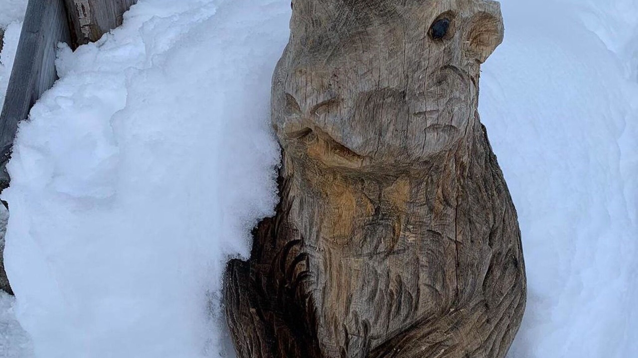 Photo of Others in Engelberg