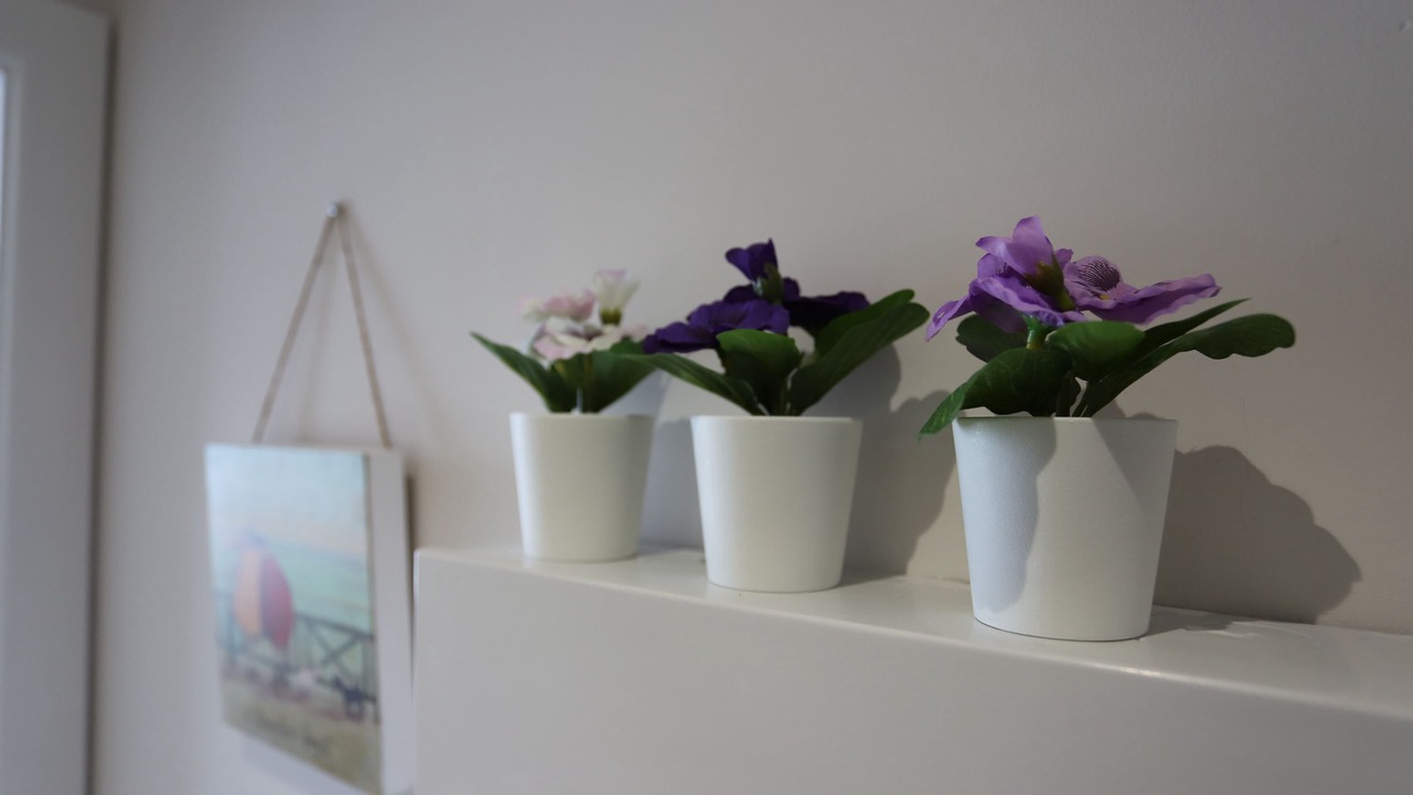 Photo of Others in Sheldon