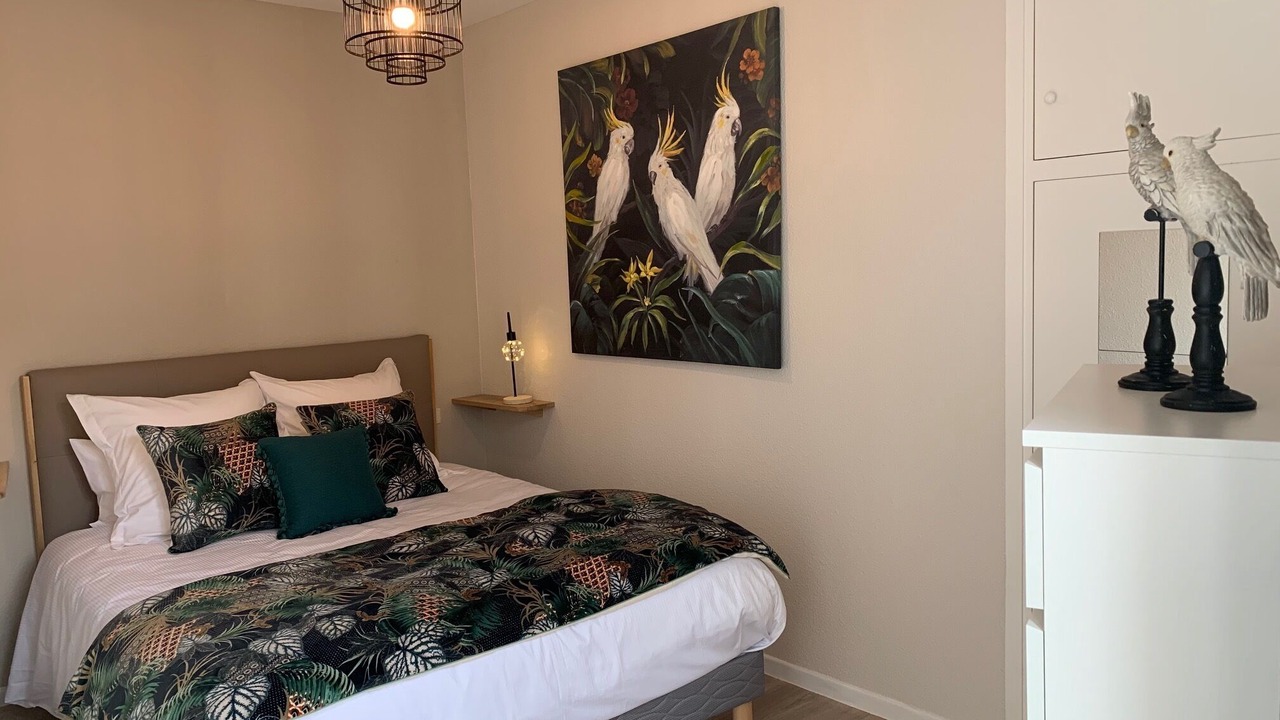 Photo of Bedroom in Albi