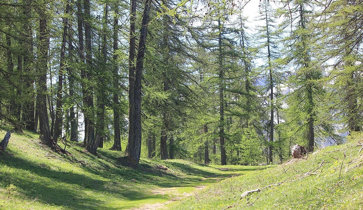 Photo of Outdoor in Vallouise