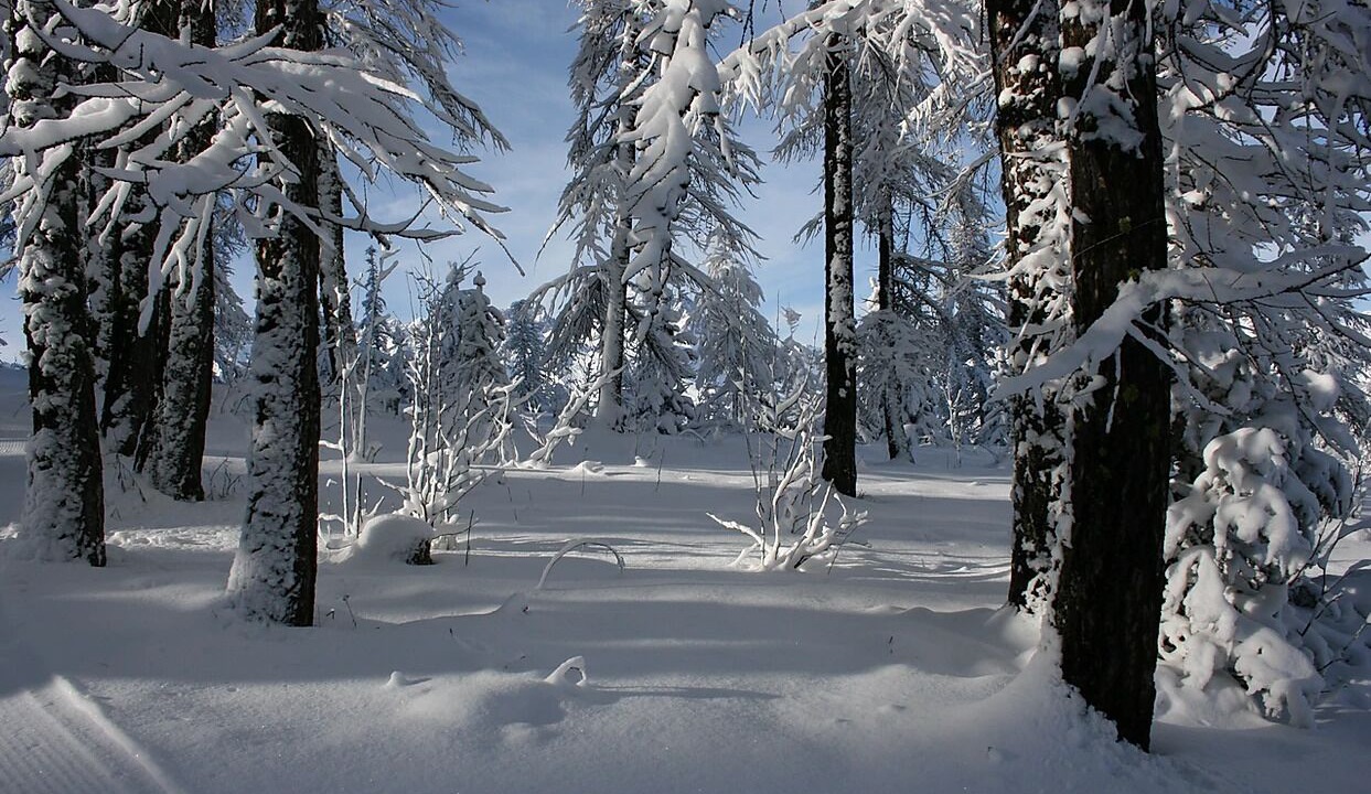 Photo of Others in Vallouise