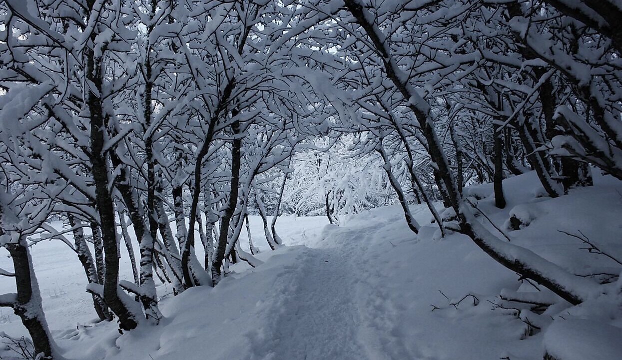 Photo of Others in Vallouise