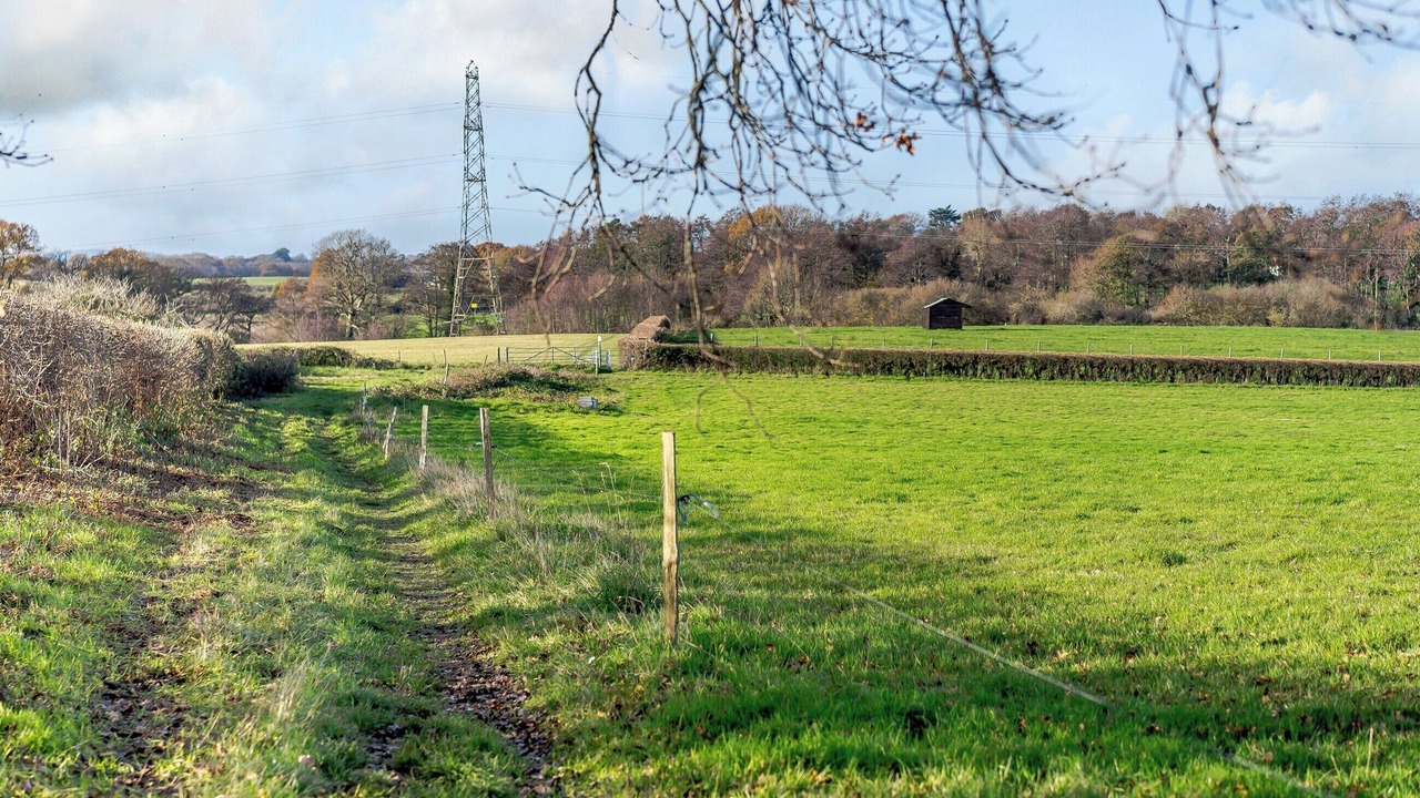 Photo of Others in Hassocks