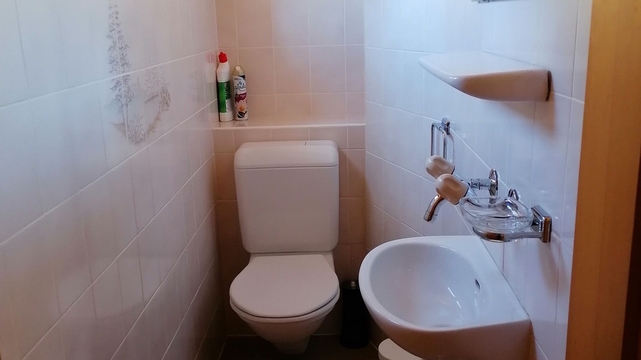 Photo of Bathroom in Champex-Lac