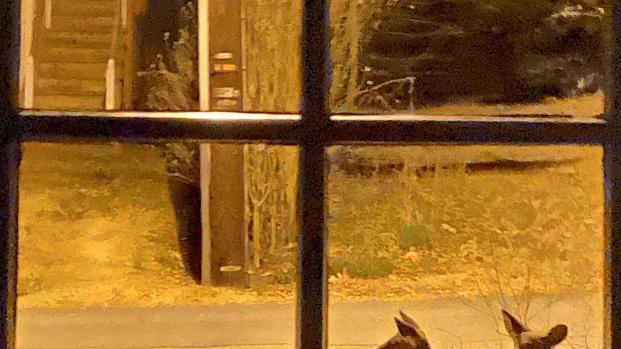 Photo of Others in North Downtown